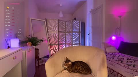 Lisa  online show from November 20, 4:40 pm