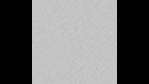 Zaydon and Lita Wolfe online show from February 22, 10:30 pm