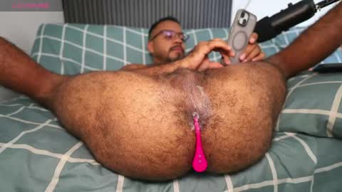 Little bear - give my room a like thanks. online show from April 21, 4:23 pm