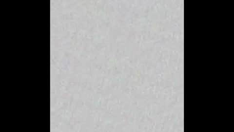 Snapshot of little_paw chatting on October 20, 4:46 am Adaline online show from October 20, 4:46 am