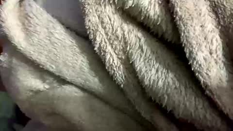 little_sissy_wendy online show from February 28, 9:33 pm