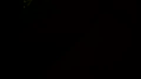 Little Tj online show from January 17, 6:29 am