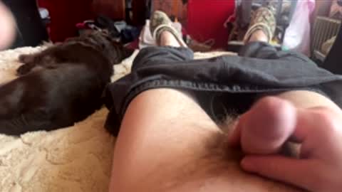 Little Tj online show from February 24, 5:33 pm