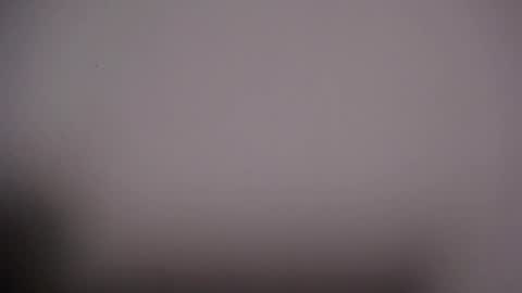 Viki online show from October 9, 7:50 am