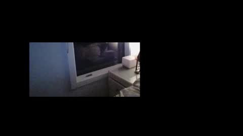 litzsa online show from February 7, 2:32 pm