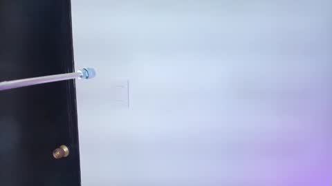 Lizz  online show from February 6, 11:54 am