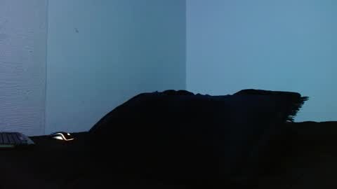 lliamm 2 online show from September 27, 5:23 am