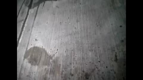 tey online show from September 12, 7:19 am