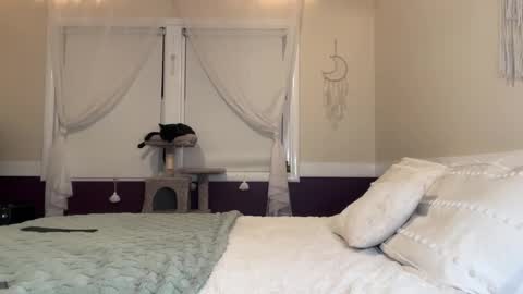 Lola 3 online show from December 17, 3:28 am