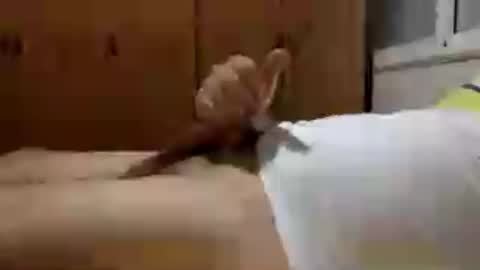 Handsome Cock online show from July 30, 10:53 pm