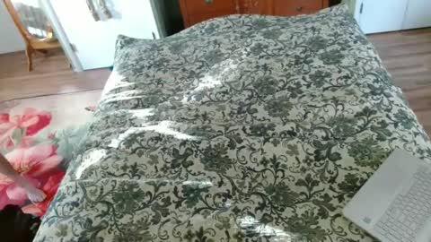 Snapshot of longbowrider555 chatting on January 30, 8:21 pm Jeff online show from January 30, 8:21 pm