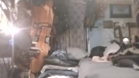 Mr. FogoDeChao online show from April 20, 12:57 am