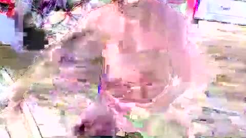 look4fun316 online show from November 4, 1:48 am