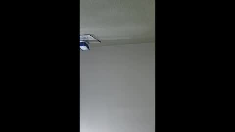 2791 3D online show from December 17, 5:35 am