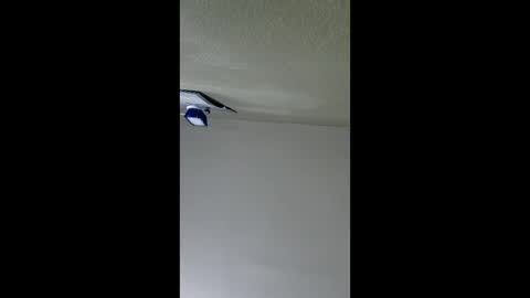 Snapshot of lopezpedro2791 chatting on January 8, 5:10 am 2791 3D online show from January 8, 5:10 am