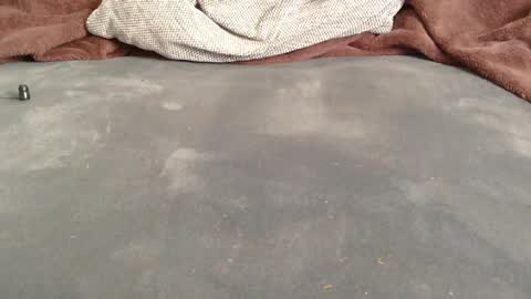 lostinspaxe online show from May 31, 2:57 pm