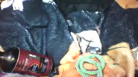 lovaelisa online show from October 18, 6:48 am