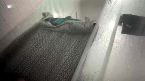 Snapshot of lovefeetonmyface29 chatting on September 22, 9:55 am lovefeetonmyface29 online show from September 22, 9:55 am