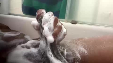 Snapshot of lovefeetonmyface29 chatting on October 12, 11:04 pm lovefeetonmyface29 online show from October 12, 11:04 pm