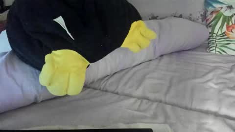 Snapshot of lovelywoman23 chatting on November 17, 6:24 pm lovelywoman23 online show from November 17, 6:24 pm