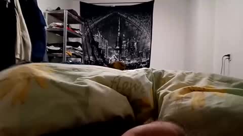 Snapshot of loveslick583698 chatting on December 23, 5:28 am Lovetlick online show from December 23, 5:28 am