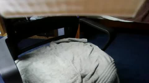 Snapshot of lovetolick272988 chatting on October 21, 2:34 am lovetolick272988 online show from October 21, 2:34 am