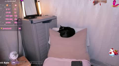 Danna online show from December 3, 10:52 pm