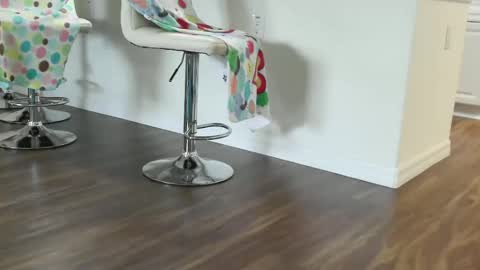 Snapshot of lovingcouple1969 chatting on December 14, 1:05 pm lovingcouple1969 online show from December 14, 1:05 pm