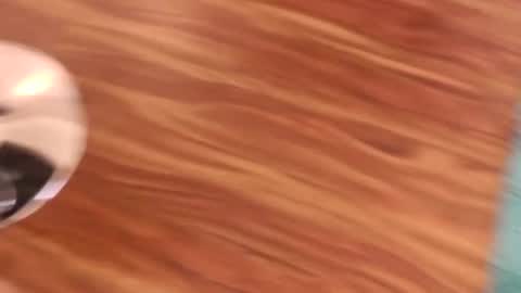 lovingcouple1969 online show from February 7, 2:21 pm