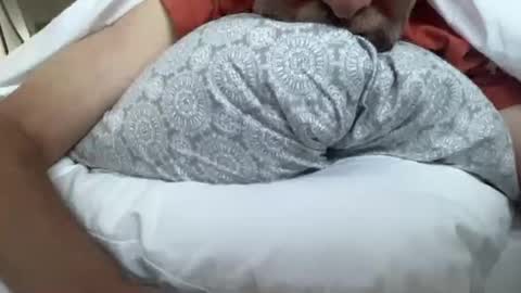 Snapshot of lqi chatting on September 16, 11:00 am lqi online show from September 16, 11:00 am