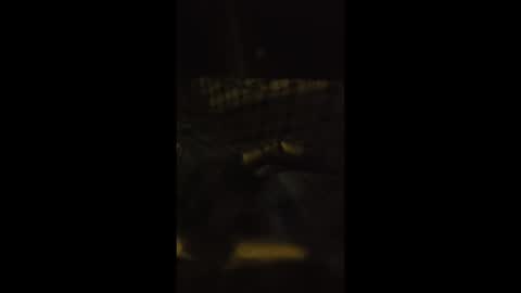 lspd359 online show from April 13, 1:22 am