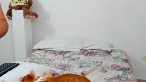 luara__01__lecat_1 online show from February 11, 10:53 am