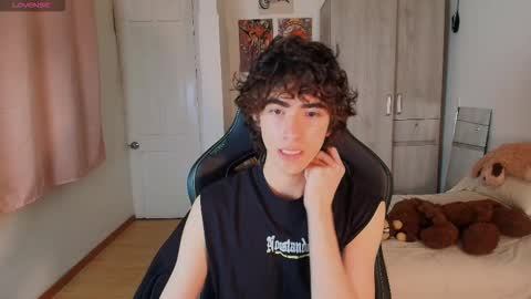 Snapshot of lucas_xo chatting on December 1, 2:38 am lucas_xo online show from December 1, 2:38 am