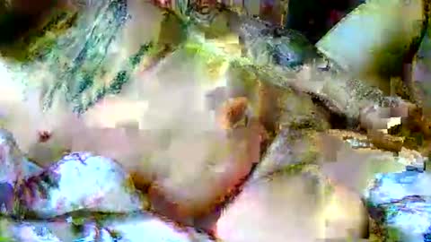 Snapshot of lucky134u chatting on April 6, 11:44 am lucky134u online show from April 6, 11:44 am