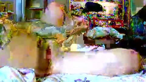 Snapshot of lucky134u chatting on April 9, 2:55 am lucky134u online show from April 9, 2:55 am