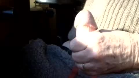 BIG Daddy cock. Tips make it harder  online show from March 8, 10:08 am