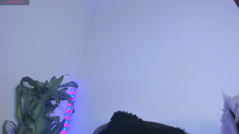 luciana online show from November 7, 1:16 am