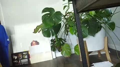 Snapshot of lukesky222 chatting on March 15, 7:31 pm Luke online show from March 15, 7:31 pm