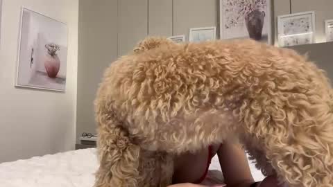 lulu21lulu online show from March 9, 5:22 am