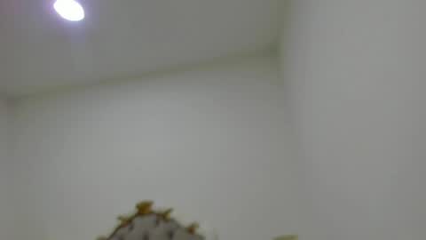 luna forever7 online show from April 14, 12:22 pm