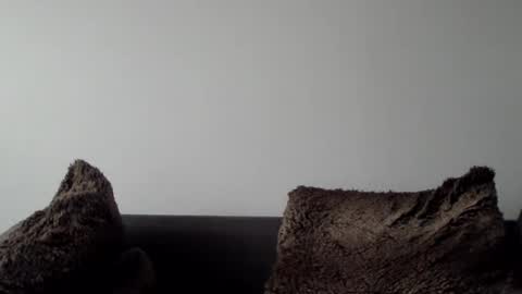 Lupine online show from January 5, 10:32 am