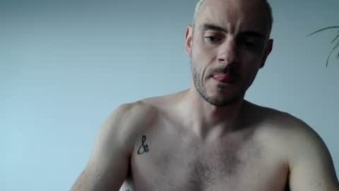 Lupine online show from September 13, 1:44 pm