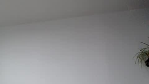 Lupine online show from September 17, 8:38 am