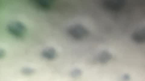 Snapshot of luquita094 chatting on November 7, 11:54 am luquita094 online show from November 7, 11:54 am