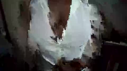 Nessy online show from October 20, 12:22 am