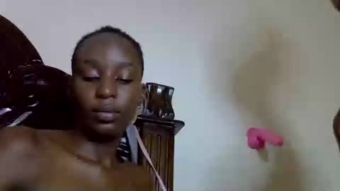 lutino_lovebirds online show from April 11, 7:51 pm