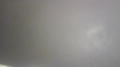 Bee Bee online show from February 9, 1:48 pm