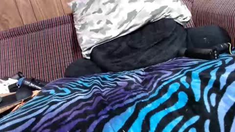 Snapshot of lyke2fuck chatting on February 6, 11:32 am Lyke2fuck online show from February 6, 11:32 am