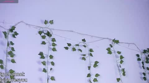 Snapshot of lyly_loveyou chatting on November 13, 5:39 am Lyly online show from November 13, 5:39 am