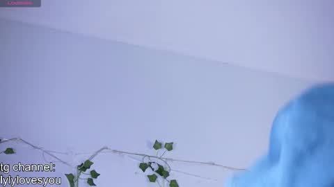 Snapshot of lyly_loveyou chatting on November 17, 5:35 am Lyly online show from November 17, 5:35 am